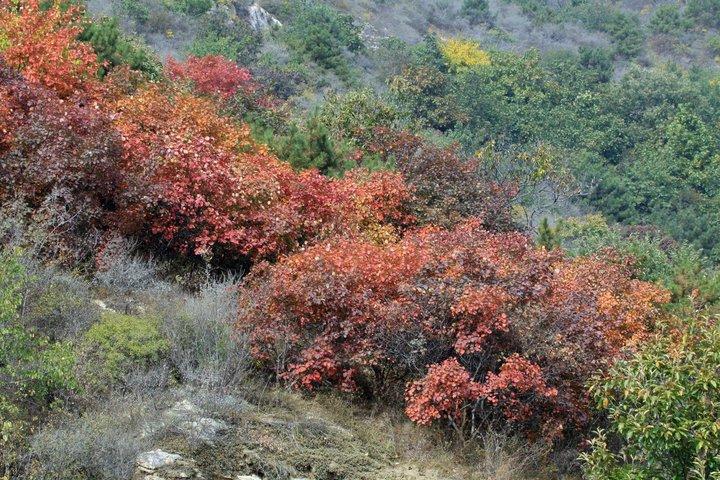 3.【大华仙谷国家森林公园】（开放时间根据季节而定。