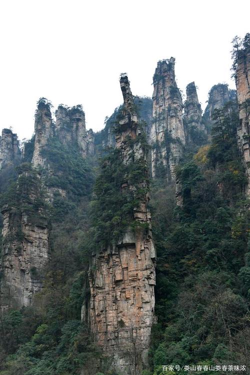 2.武陵源森林公园地处武陵山脉中段，属典型的喀斯特地貌，景区内山峦叠翠，峰深林密，奇峰林立；