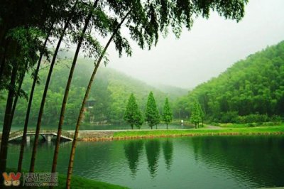 ​宜宾蜀南竹海景区免票（宜宾蜀南竹海门票8折优惠）