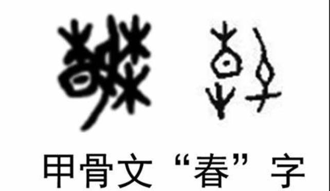 春是独体字结构吗（春是什么结构）