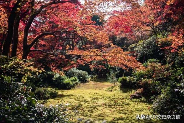 小周后和李煜有没有孩子（李煜是喜欢大周后还是小周后）