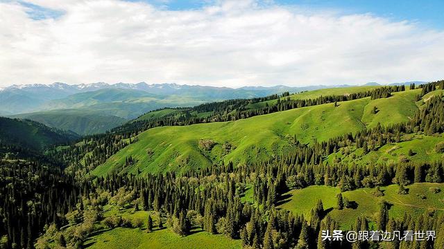 那拉提草原旅游攻略路线图（那拉提空中草原）(18)