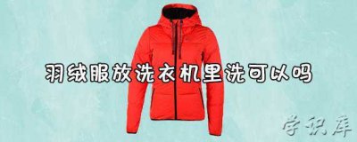 ​羽绒服可以用洗衣机洗吗(介绍羽绒服怎么洗最好)