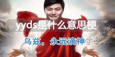 ​yyds是什么意思梗，附yyds的来源