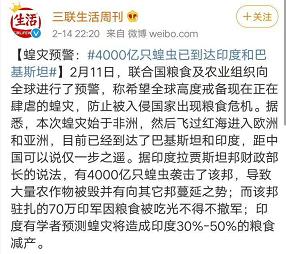 印度蝗虫攻击新德里（4000亿只蝗虫侵袭印度）(1)