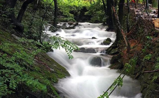 温州雁荡山旅游景点（国家5A级景区八十二）(4)