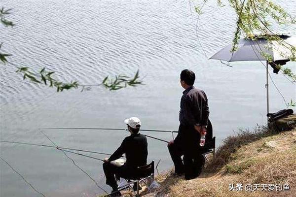 东南风好钓鱼吗(初夏东南风钓鱼最佳钓位)