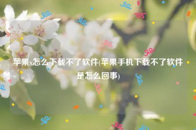 ​苹果x怎么下载不了软件(苹果手机下载不了软件是怎么回事)