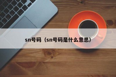 ​sn号码（sn号码是什么意思）