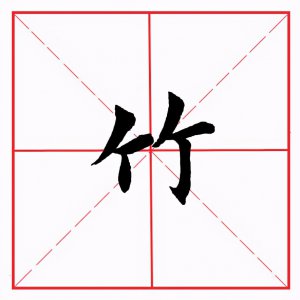 ​竹字头把怎么读（一个竹字头一个把字念什么）