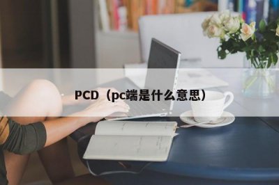 ​PCD（pc端是什么意思）