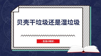 ​贝壳是干垃圾还是湿垃圾图片 贝类是干垃圾还是湿垃圾