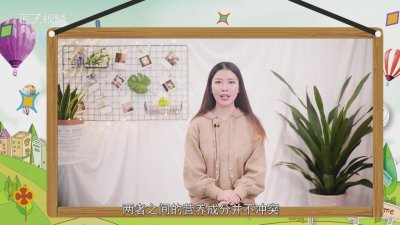 ​南瓜和螃蟹能一起吃吗我吃了几个爪子碍事吗视频 螃蟹能跟南瓜一块吃吗