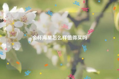 ​金杯海星怎么样值得买吗