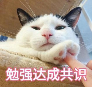 ​小猫害怕求饶的表现（猫咪感到“害怕”的有这10种表现）