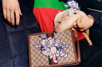 ​gucci猪年限定包包多少钱 三只小猪陪你过年