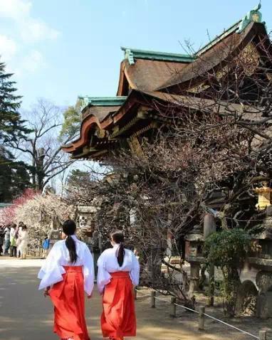 日本神社的巫女都是做什么的?