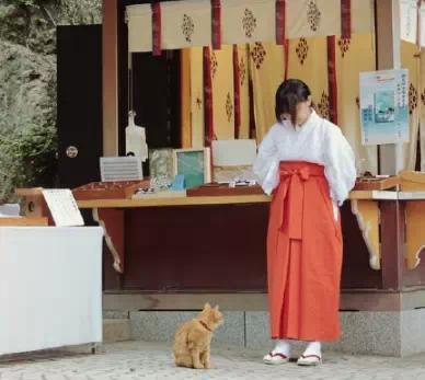 日本神社的巫女都是做什么的?