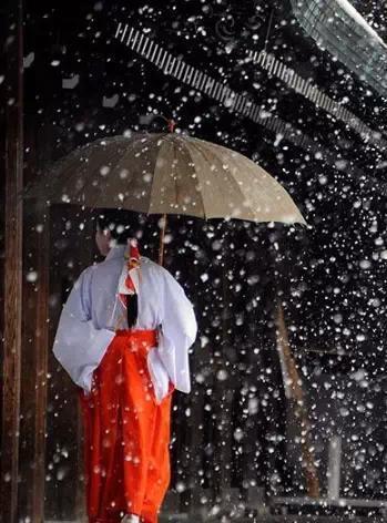 日本神社的巫女都是做什么的?