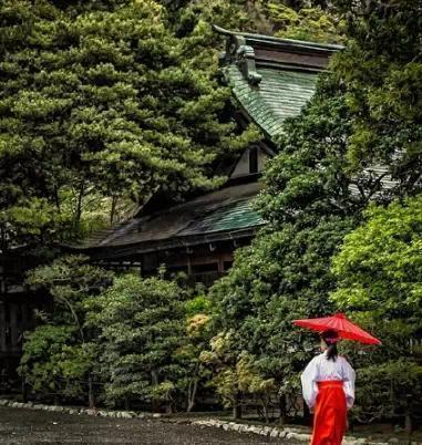 日本神社的巫女都是做什么的?