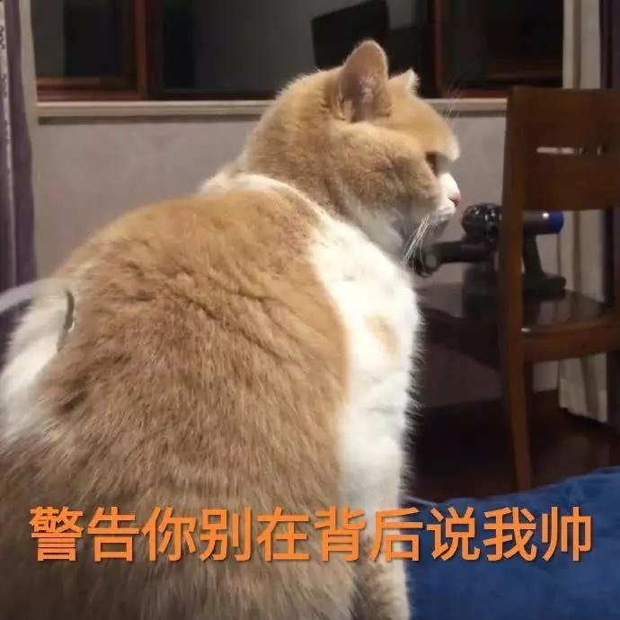 蜜桃猫咪表情包：你说什么就是什么，反正我听不懂人话