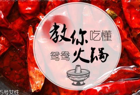 四川火锅底料怎么吃 花样吃法让你过足瘾