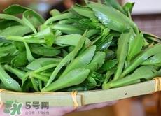 竹叶菜是什么菜?竹叶菜长什么样子?