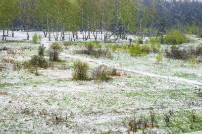 ​五月迎飞雪，倒夏寒？五月下雪有啥预兆？