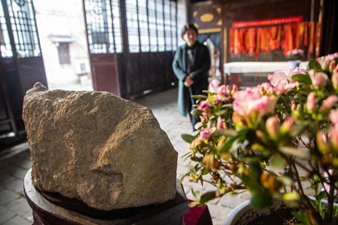 北京中南海西花厅的海棠树在邓颖超祖居开花了，她原来是光山人呀